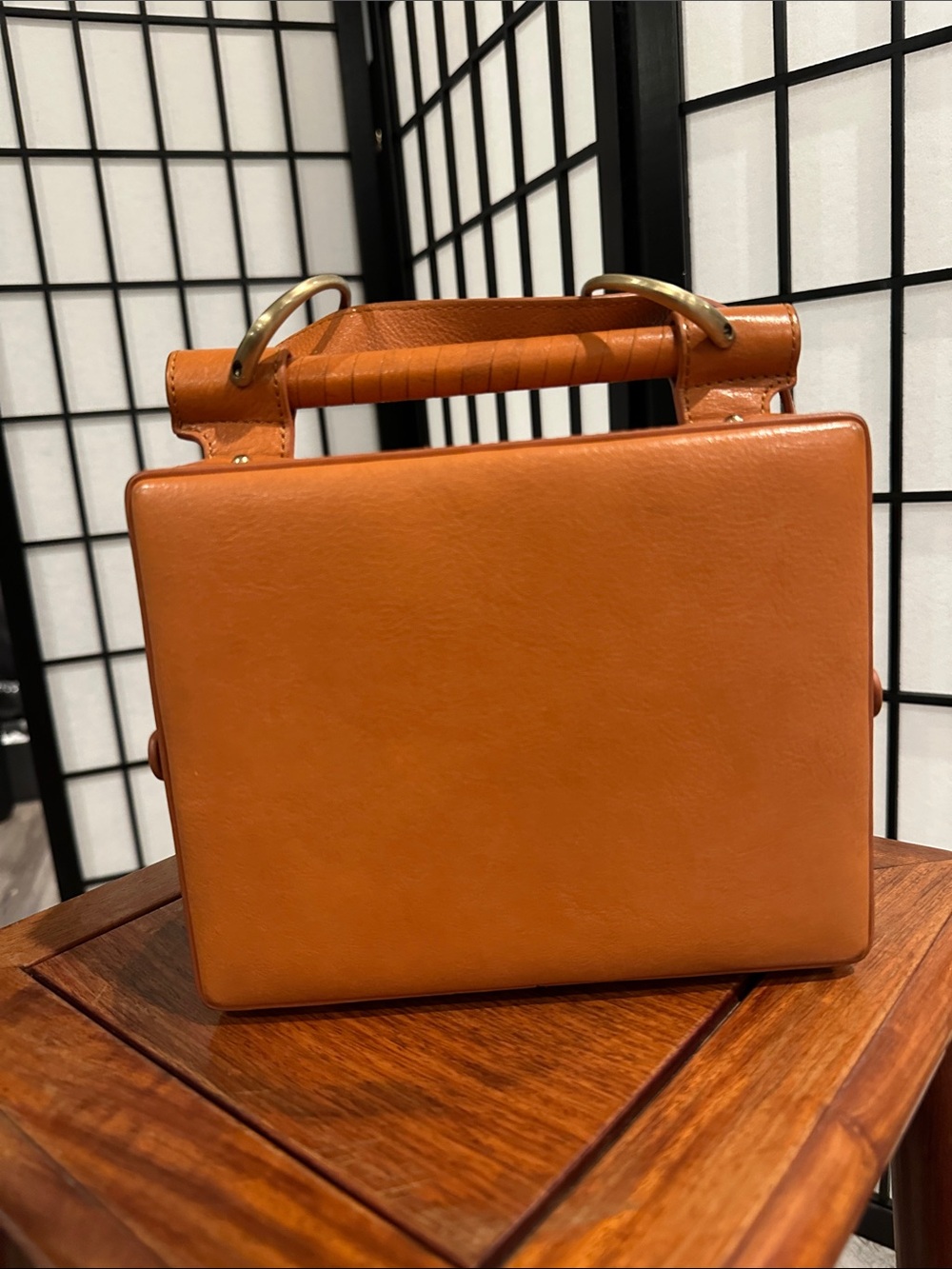 SANCIA Structured Mini Top-Handle Bag in Cognac Leather